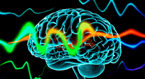 Neural Data Analytics Platform
